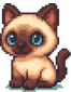 샴