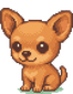 치와와