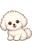 꼬똥 드 툴레아