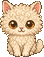 고양이
