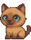 통키니즈