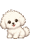 꼬똥 드 툴레아