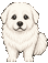 그레이트 피레니즈