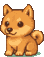 진돗개